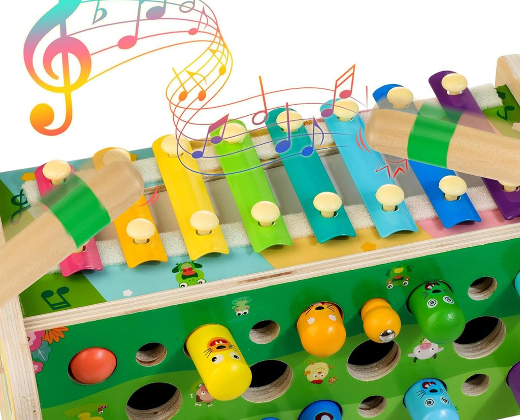 RainbowTunes - Kleurrijke Xylofoon Voor Kinderen, perfect om het gehoor en ritmegevoel te ontwikkelen.