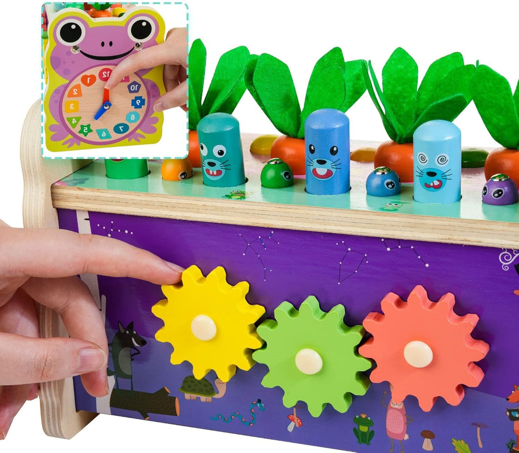 RainbowTunes - Kleurrijke Xylofoon Voor Kinderen, perfect voor eerste stappen in muziek maken.