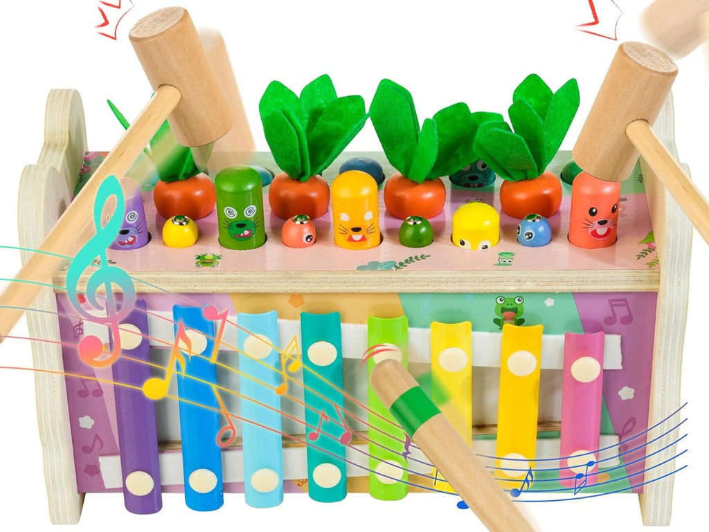 Laat je kind genieten van kleurrijke melodieën met de RainbowTunes - Kleurrijke Xylofoon Voor Kinderen.