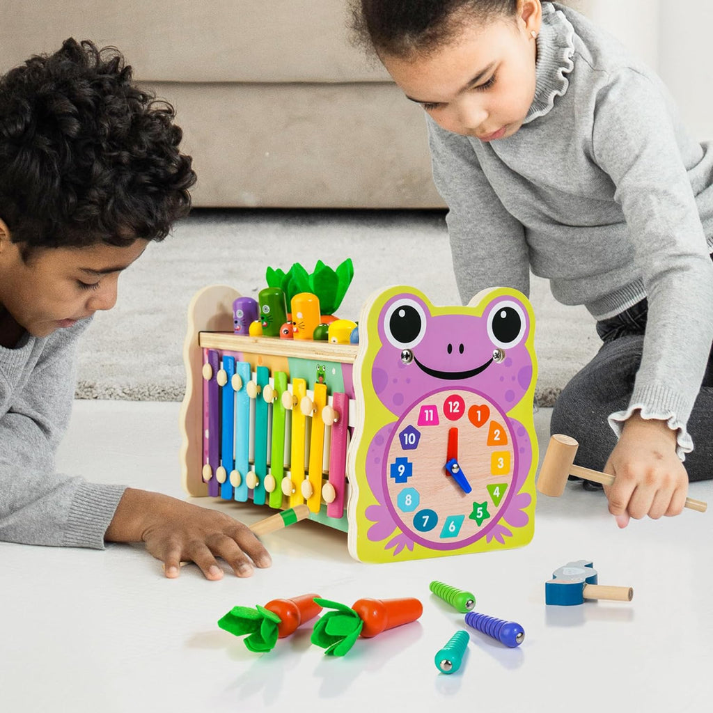 Zorg voor muzikaal plezier en educatie met de RainbowTunes - Kleurrijke Xylofoon Voor Kinderen.