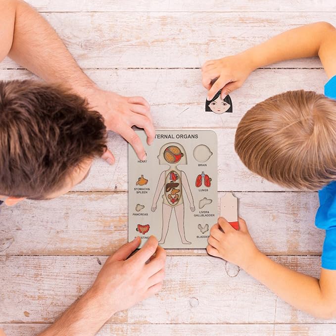 Anatomische Houten Puzzel | Educatief Houten Speelgoed voor Kinderen 1