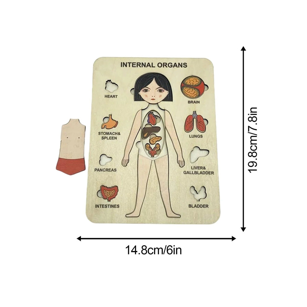 Anatomische Houten Puzzel | Educatief Houten Speelgoed voor Kinderen 7