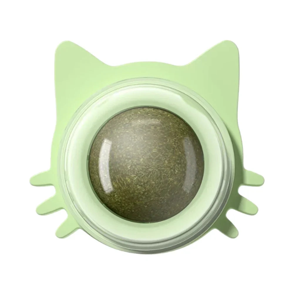 Interactief catnip-speelgoed voor katten, ideaal voor muren en glazen oppervlakken.