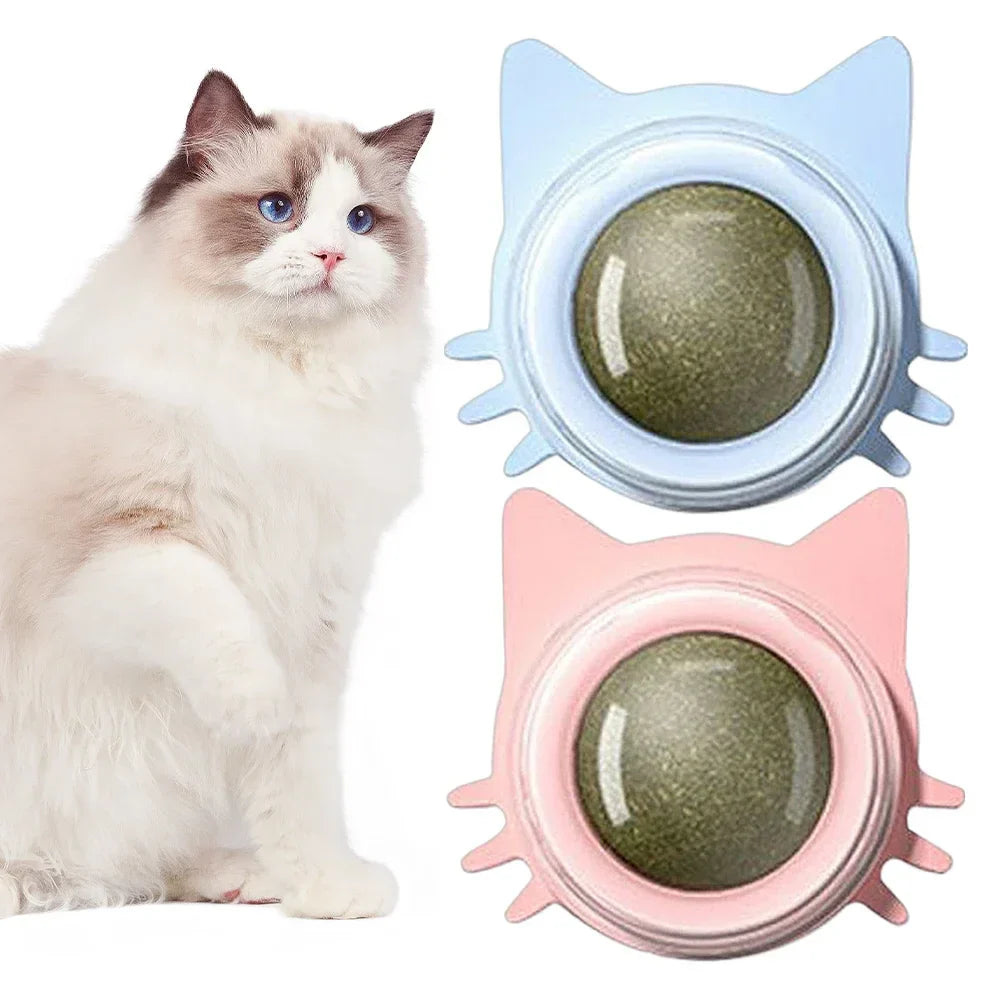 Kattenspeeltje met catnip dat eenvoudig te bevestigen is op gladde oppervlakken.